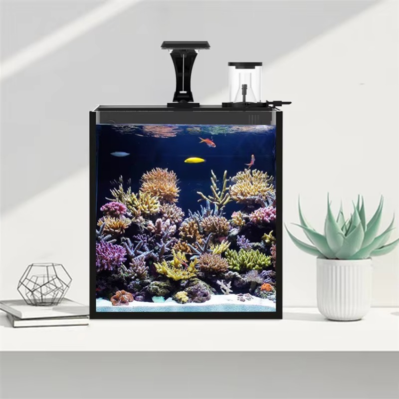 Mini aquarium marin en verre u - Marine Aquarium Cube avis et prix