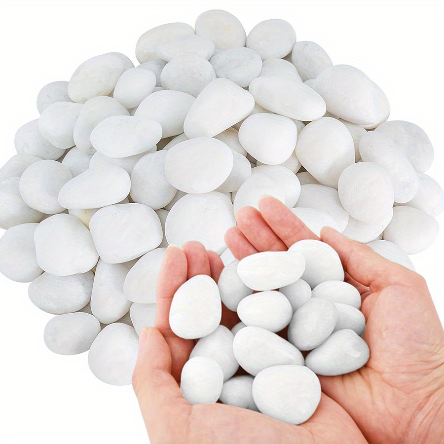 Cerfsets naturels blancs haute - Marine Fish Tank avis et prix
