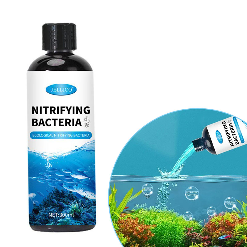 Purificateur d'eau pour Aquari - Ocean Aquarium avis et prix